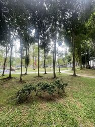 Blk 487 Admiralty Link (Sembawang), HDB 4 Rooms #593595011